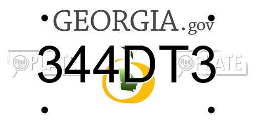 344DT3 Georgia License Plate