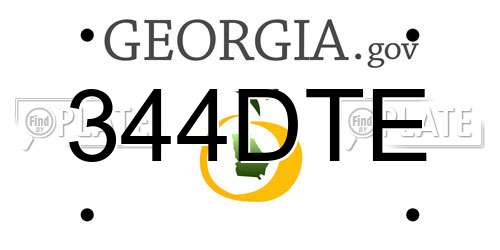 344DTE Georgia License Plate