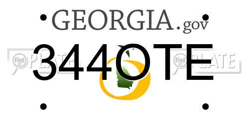 344OTE Georgia License Plate