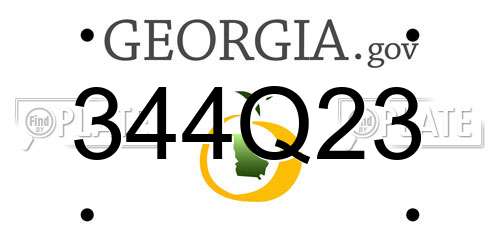 344Q23 Georgia License Plate