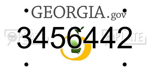 3456442 Georgia License Plate