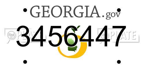 3456447 Georgia License Plate