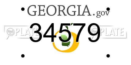 34579 Georgia License Plate