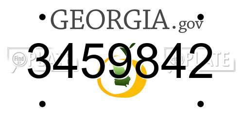 3459842 Georgia License Plate