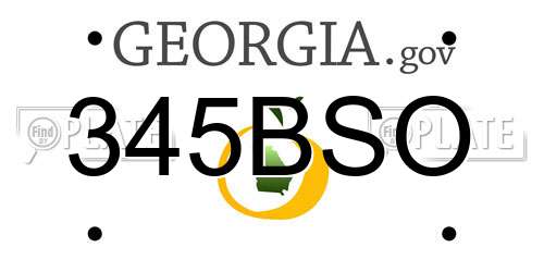 345BSO Georgia License Plate