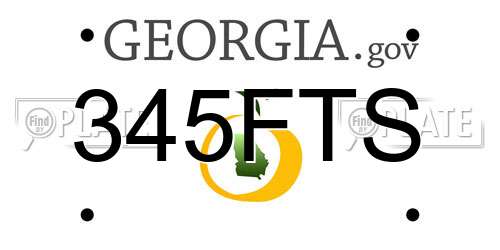 345FTS Georgia License Plate