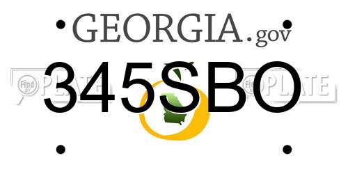 345SBO Georgia License Plate