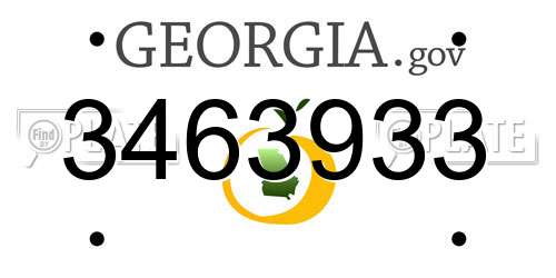 3463933 Georgia License Plate