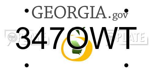 347OWT Georgia License Plate