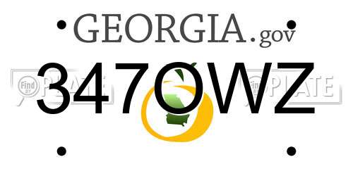 347OWZ Georgia License Plate