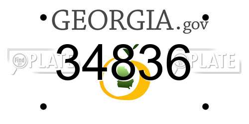 34836 Georgia License Plate