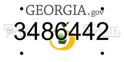 3486442 Georgia License Plate