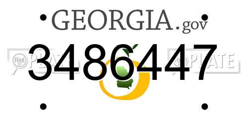 3486447 Georgia License Plate