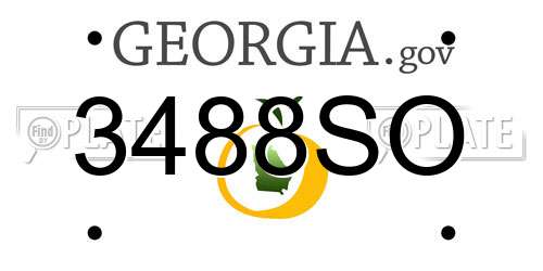 3488SO Georgia License Plate
