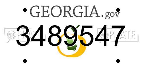 3489547 Georgia License Plate
