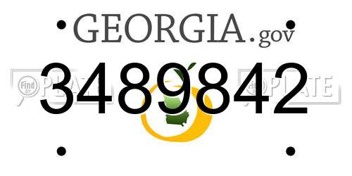 3489842 Georgia License Plate