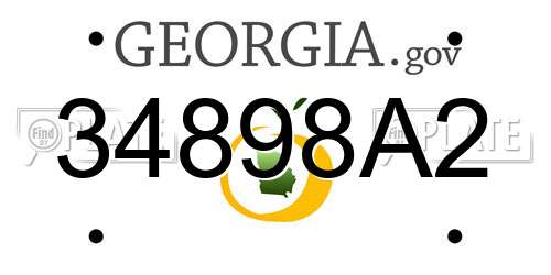 34898A2 Georgia License Plate