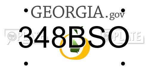348BSO Georgia License Plate