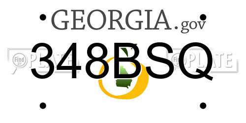 348BSQ Georgia License Plate