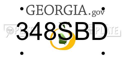 348SBD Georgia License Plate