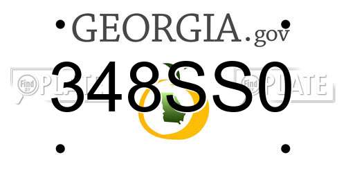 348SS0 Georgia License Plate