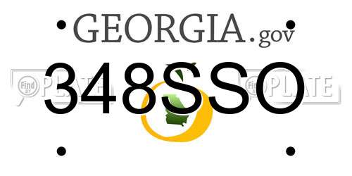 348SSO Georgia License Plate