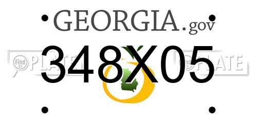 348X05 Georgia License Plate