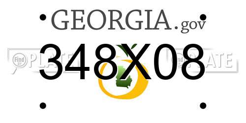 348X08 Georgia License Plate