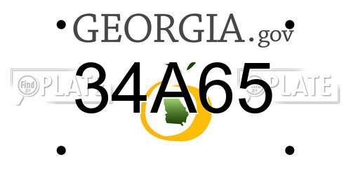 34A65 Georgia License Plate