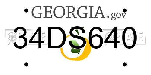 34DS640 Georgia License Plate
