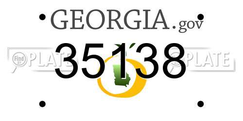 35138 Georgia License Plate
