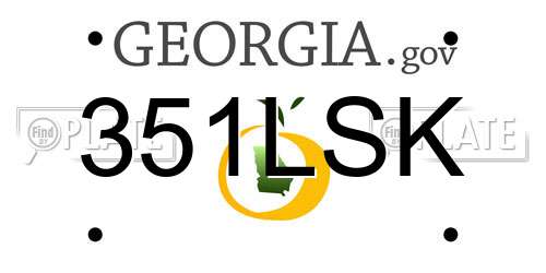 351LSK Georgia License Plate