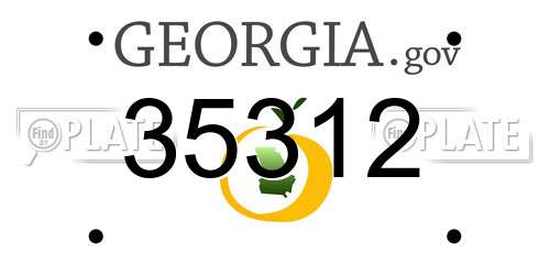 35312 Georgia License Plate