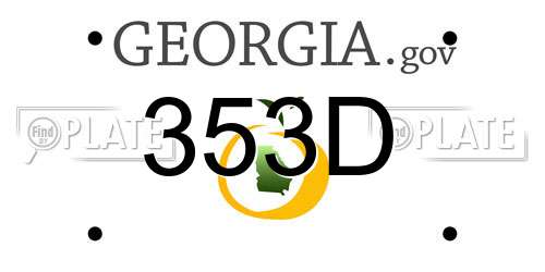 353D Georgia License Plate