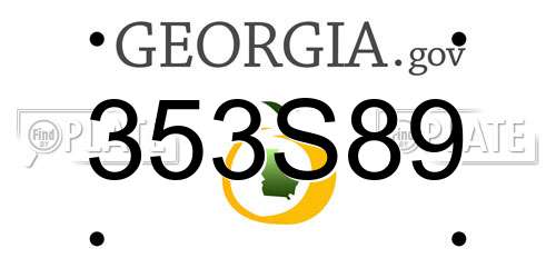 353S89 Georgia License Plate