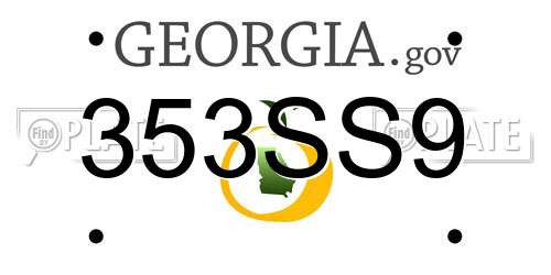 353SS9 Georgia License Plate