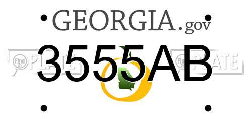 3555AB Georgia License Plate
