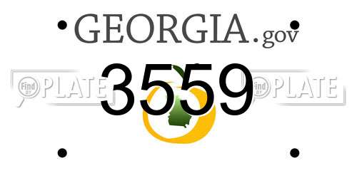 3559 Georgia License Plate
