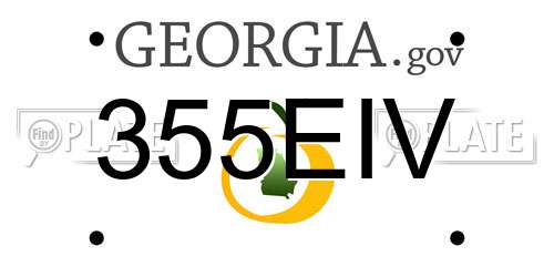 355EIV Georgia License Plate