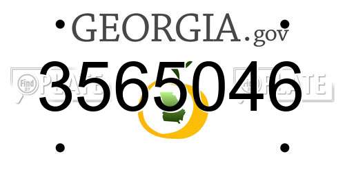 3565046 Georgia License Plate