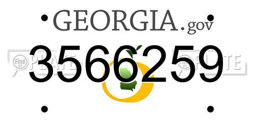 3566259 Georgia License Plate