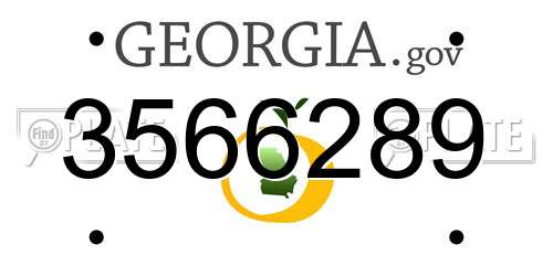 3566289 Georgia License Plate