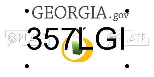 357LGI Georgia License Plate
