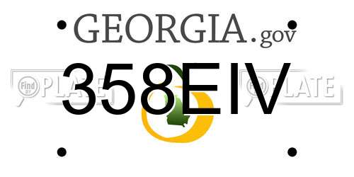 358EIV Georgia License Plate