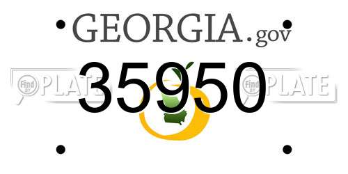 35950 Georgia License Plate