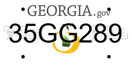 35GG289 Georgia License Plate