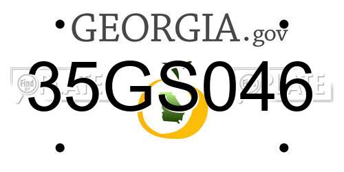 35GS046 Georgia License Plate