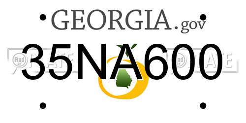 35NA600 Georgia License Plate
