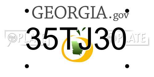 35TJ30 Georgia License Plate