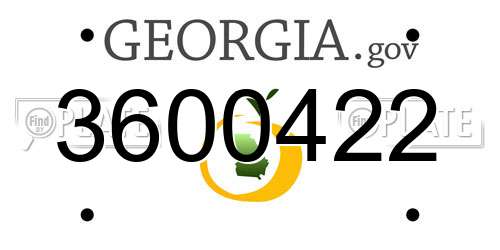 3600422 Georgia License Plate